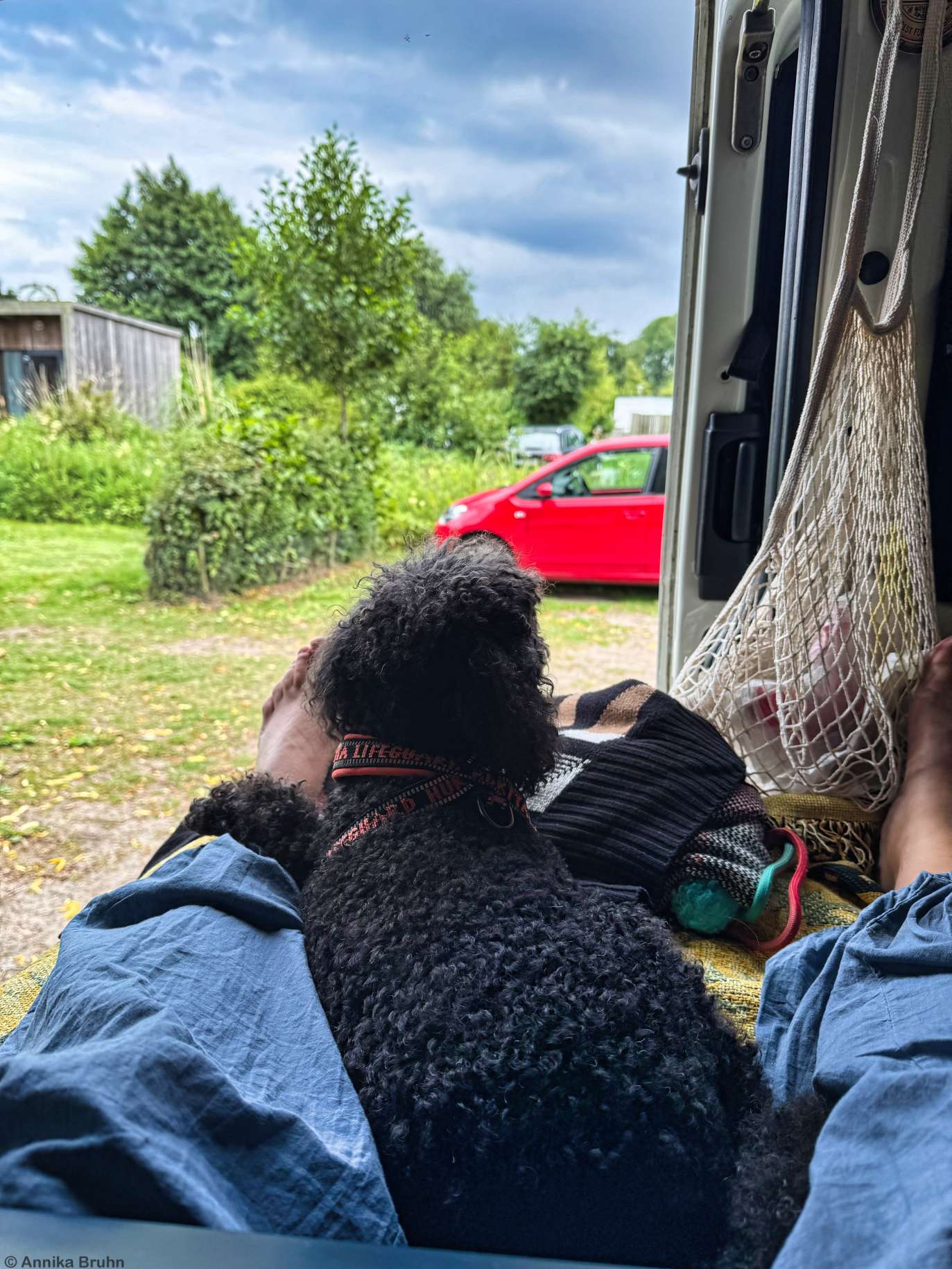 Mit dem Bella im Bus arbeiten